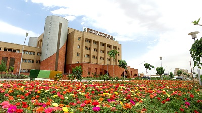 گ تصویری